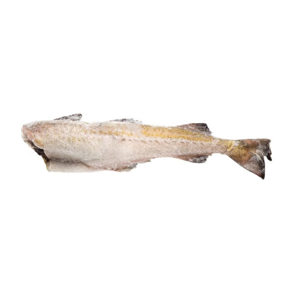 Hamsi